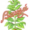 Bauza-logo2-1.jpg